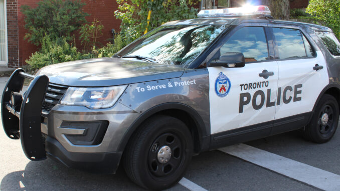 web-police-truck-grey-2