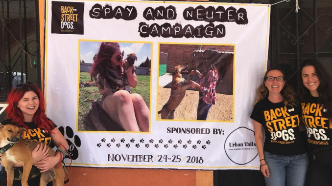 Urban Tails Spay and Neuter Campaign