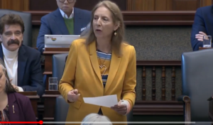 France Gélinas, MPP, NDP Health Critic France Gélinas MPP for Nickel Belt and NDP Health Critic rose in the legislature on Feb 24, 2024 to encourage the Ford government to recognize the untapped potential held by Ontario’s Nurse Practitioners.