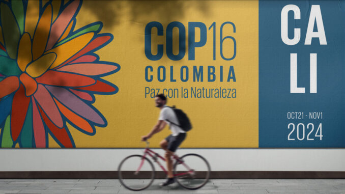 cop16-logo-cali1_1500x640