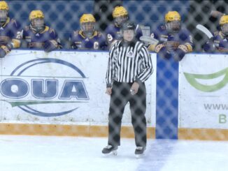 Referee on ice